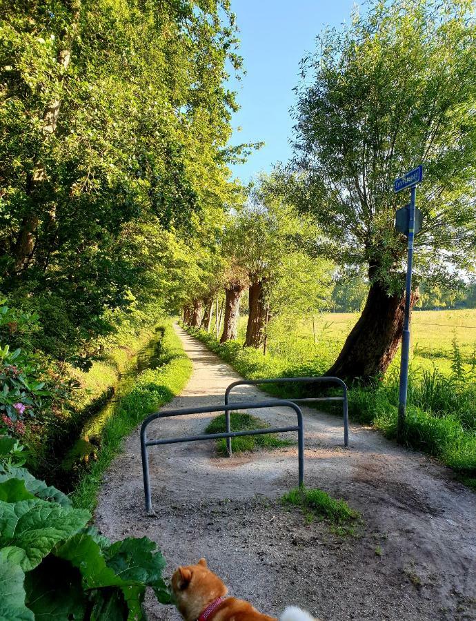 L'Amour Pur Schoorl Kültér fotó